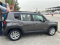 جيب رينيجيد